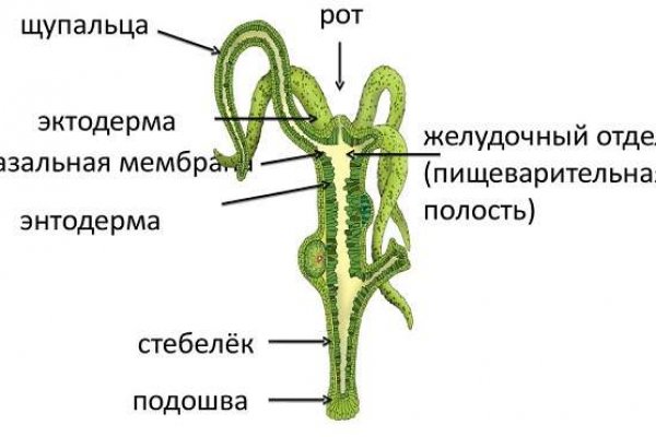 Кракен переход