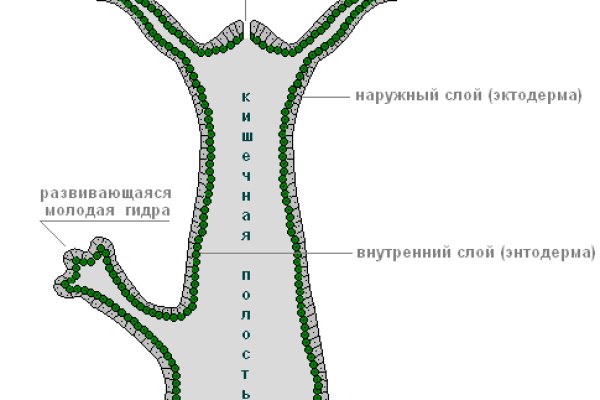 Кракен ссылка на тор